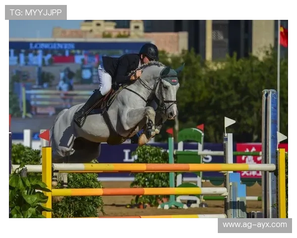 马术障碍赛名将摔下马仍坚强完赛，精神感动观众