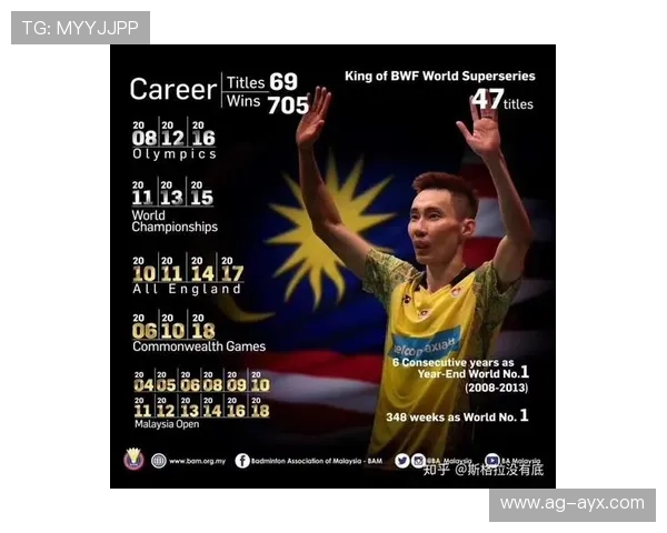 羽毛球运动员生涯管理与退役安置研究 羽毛球运动员生涯管理与退役安置研究