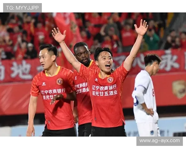 辽宁队：逆境拼搏，冲刺季后赛！，辽宁队的比赛